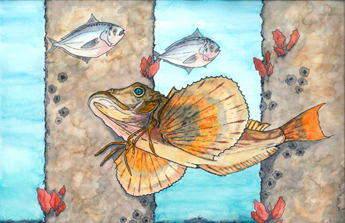 Fish: Calvin Toran-Sandlin